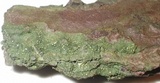 Dimerella pineti image