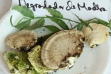 Trametes cubensis image