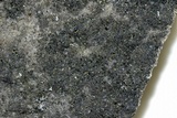 Image of Bacidina egenuloidea