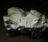 Perenniporia subacida image