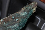 Chlorociboria aeruginosa image