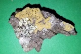 Pyrrhospora quernea image