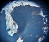 Thaxteriella pezizula image