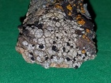 Lecidella carpathica image