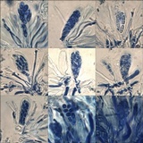 Lecania spadicea image
