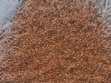 Hygrophorus cokeri image
