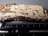 Steccherinum oreophilum image