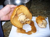 Gymnopilus ventricosus image