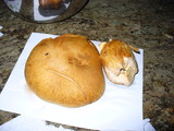 Gymnopilus ventricosus image