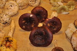 Russula xerampelina image