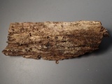 Natantiella ligneola image