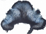 Umbilicaria crustulosa image