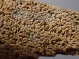 Hyphodontia quercina image