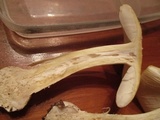 Amanita praecox image