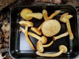 Gymnopilus rufosquamulosus image