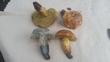 Boletus luridellus image