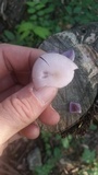 Lepista sordida image