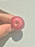 Hygrocybe occidentalis image