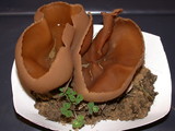 Peziza repanda image