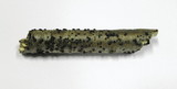 Hypoxylon fuscum image