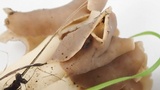 Helvella compressa image