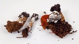 Hypomyces cervinigenus image