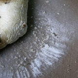 Amanita maryaliceae image