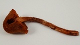 Inocybe hirsuta var. maxima image