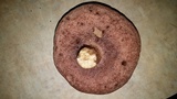 Tylopilus felleus image