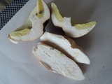 Boletus subcaerulescens image