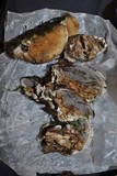 Bjerkandera adusta image