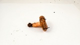 Lactarius pallescens image