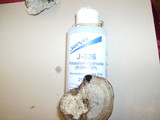 Daedaleopsis septentrionalis image
