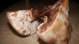 Laetiporus persicinus image