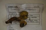 Callistosporium luteo-olivaceum image