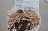 Clavaria fumosa image