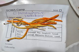 Clavulinopsis laeticolor image