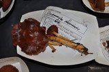 Cortinarius smithii image