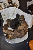 Helvella maculata image