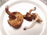 Xanthoconium affine image