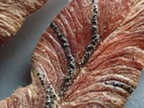 Mycosphaerella pteridis image