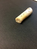 Amanita sect. Vaginatae image