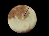 Inocybe tahquamenonensis image