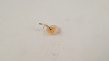 Marasmius calhouniae image
