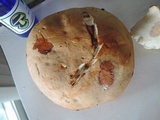Boletus variipes image
