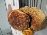 Fomitopsis officinalis image