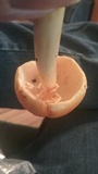 Amanita arkansana image