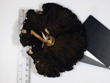 Agaricus reducibulbus image