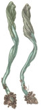 Microglossum viride image