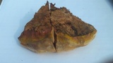 Ganoderma polychromum image